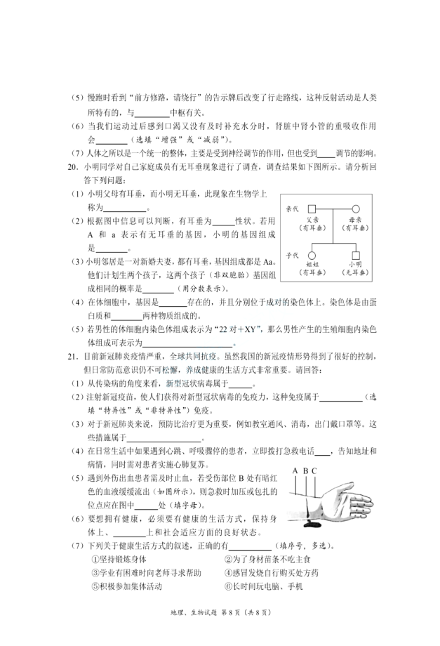 微信图片8