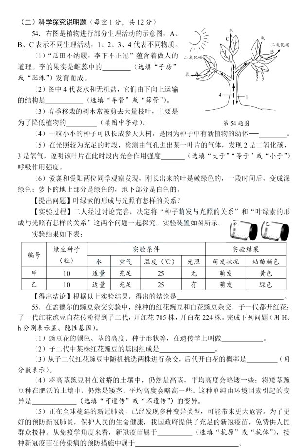 微信图片10