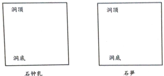 学科网(www.zxxk.com)--教育资源门户，提供试卷、教案、课件、论文、素材以及各类教学资源下载，还有大量而丰富的教学相关资讯！