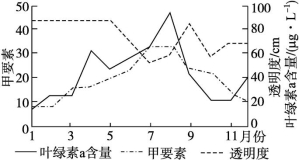 id:2147498706;FounderCES