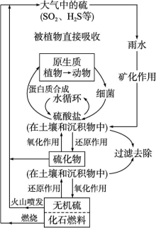 id:2147498713;FounderCES