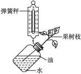 id:2147485218;FounderCES