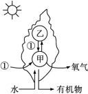 id:2147485225;FounderCES