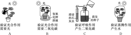 id:2147485239;FounderCES