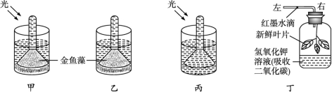 id:2147485253;FounderCES