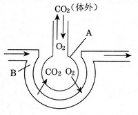 http://xuehaifile.oss-cn-hangzhou.aliyuncs.com/SB103007/imageConvert9462b74f-4a83-443b-9839-2cef377b1f5f.png