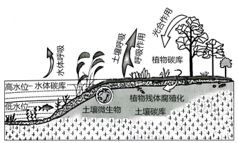 学科网(www.zxxk.com)--教育资源门户，提供试卷、教案、课件、论文、素材以及各类教学资源下载，还有大量而丰富的教学相关资讯！