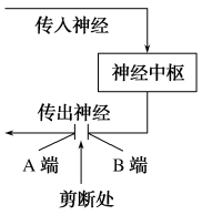 选择性一生86.tif