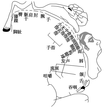 选择性一生157.tif