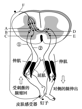 选择性一生161.tif