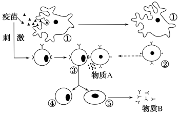 选择性一生323.tif