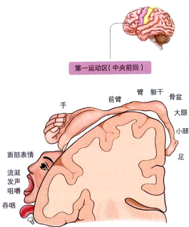 微信截图去_20200913115617_副本