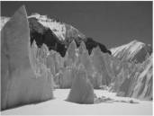 id:2147499933;FounderCES