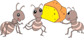 preencoded.png