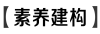 E:\课件 24版一轮新教材人教版生物\素养建构.TIF