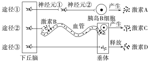 E:\课件 24版一轮新教材人教版生物\YLSWXGKRJ24-936.TIF