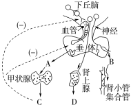 E:\课件 24版一轮新教材人教版生物\YLSWXGKRJ24-937.TIF