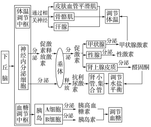 E:\课件 24版一轮新教材人教版生物\YLSWXGKRJ24-929.TIF