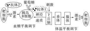 E:\课件 24版一轮新教材人教版生物\YLSWXGKRJ24-930.TIF