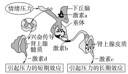 E:\课件 24版一轮新教材人教版生物\YLSWXGKRJ24-931.TIF