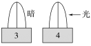 E:\课件 24版一轮新教材人教版生物\YLSWXGKRJ24-1058.TIF