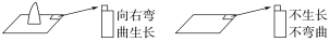 E:\课件 24版一轮新教材人教版生物\YLSWXGKRJ24-1050.TIF