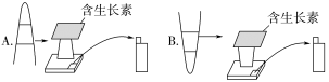 E:\课件 24版一轮新教材人教版生物\YLSWXGKRJ24-1052.TIF