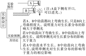 E:\课件 24版一轮新教材人教版生物\YLSWXGKRJ24-1054.TIF