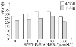 E:\课件 24版一轮新教材人教版生物\YLSWXGKRJ24-1085.TIF