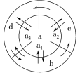 E:\课件 24版一轮新教材人教版生物\YLSWXGKRJ24-1079.TIF