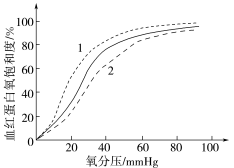 E:\课件 24版一轮新教材人教版生物\YLSWXGKRJ24-1080.TIF