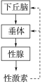 E:\课件 24版一轮新教材人教版生物\YLSWXGKRJ24-1081.TIF