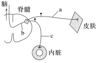 F:\一轮\生物\686.TIF