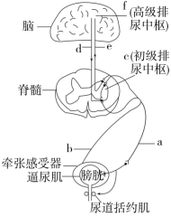 F:\一轮\生物\687.TIF