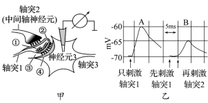 F:\一轮\生物\688.TIF