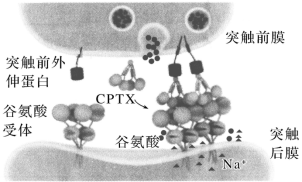 F:\一轮\生物\a670.TIF