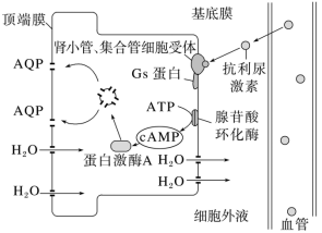 F:\一轮\生物\721.TIF