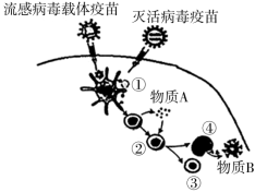 F:\一轮\生物\759.TIF