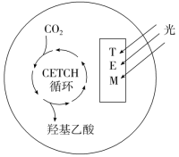 F:\一轮\生物\939.TIF