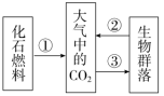 F:\一轮\生物\941.TIF