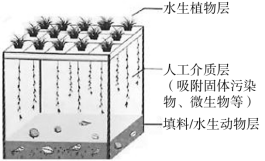 F:\一轮\生物\942.TIF