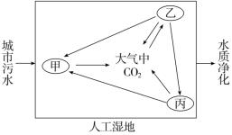 F:\一轮\生物\956.TIF