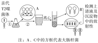 F:\一轮\生物\498.TIF