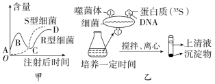 F:\一轮\生物\499.TIF