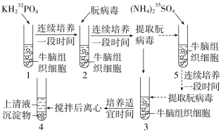 F:\一轮\生物\500.TIF