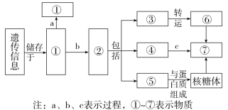 F:\一轮\生物\551.TIF