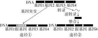 F:\一轮\生物\572.TIF