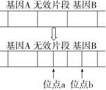 F:\一轮\生物\574.TIF