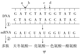 F:\一轮\生物\578.TIF