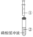 F:\一轮\生物\142.TIF